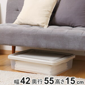 [P[X z[P[X 5515 i[ i 42×s55×15cm [{bNX [ ӂt vX`bN Ԏ[ ߗގ[ ߑP[X ^  xbh \t@    