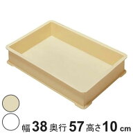 もち箱 フードテナー 57×38×10cm 本体 （ 餅箱 餅ばこ もちばこ フードコンテナー 保存容器 プラスチッ…