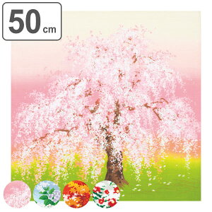 C~ ٓ 50cm ȏӂ낵 tďH~ i C~ ӂ낵 ٓ 50Z` `NX a  { ٓ  ٓ C~ a yY }`NX ^yXg[ j