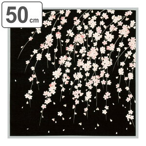 C~ ٓ 50cm ȏӂ낵  i C~ ӂ낵 ٓ 50Z` `NX a  { ٓ  ٓ C~ a yY }`NX ^yXg[ j