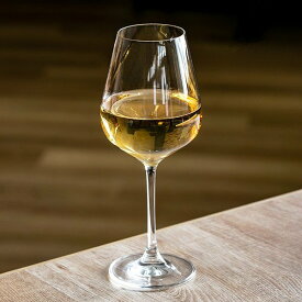 ワイングラス 420ml DESIRE デザイアー ガラス製 羽模様付 （ 食洗機対応 グラス 万能型ワイングラス 赤ワイン 白ワイン デザートワイン 万能型 強化ガラス シンプル 業務用 ）