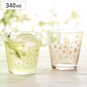 ^u[ 340ml K[f^C yA^u[ 2 i OX Rbv yA yAOX { H@Ή KX  킢 ԕ {^jJ j