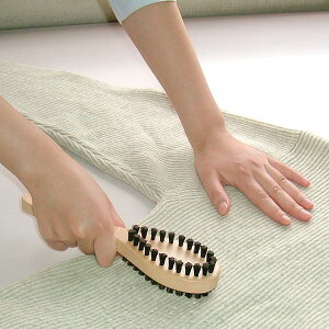 毛玉取り ブラシ 毛玉おとしW ( 毛玉取りブラシ けだまとり 毛玉とり 洋服ブラシ 毛玉 ニット 衣類 お手入れ シンプル 豚毛 猪毛 お掃除ブラシ付き )