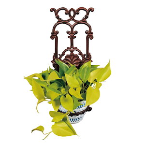 K[fjO t[nK[ 18.5×s17×48.5cm i vgz_[ nMO Ǌ| u K[fG v^[X^h ԑ X^h u K[f DIY   G