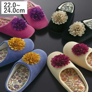 Xbp V[bg ԃ`[tt 22.0`24.0cm i ԃ`[t 􂦂  qp fB[X I[V[Y  ԕ ӂӂ 킢 [Xbp gC CeAG lC