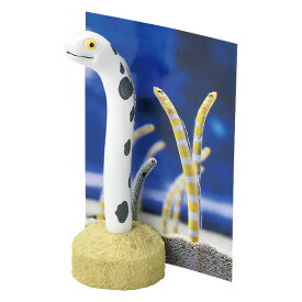 ペン&メモスタンド チンアナゴ ペン メモスタンド 水族館 （ ペンスタンド ペン立て メモホルダー 文房具 雑貨 ステーショナリー ミニ 生き物 かわいい インテリア デスク 机 オフィス 機能的 便利 アイテム 替え芯付き メモ ）