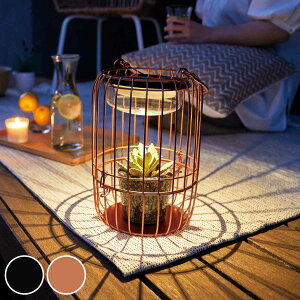 \[[Cg \[[^ i LED \[[ Cg LEDCg K[fCg z[d O u^ z [d ZT[t nht    [d   dF 