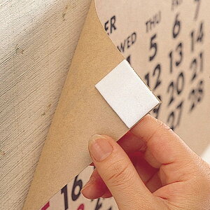 ʃe[v C[W[IIte[v p Ƃ̂Ȃʃe[v i Se[v ͂ e[v esv ssv KX ǖ RN[g ʐ^ |X^[ JȂ 