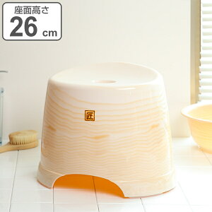 C֎q  26cm ؖڒ hJr { i C ֎q C CCX 26 26H oX`FA oXObY V[`FA  K ؖ ₷ ׂ~ V[Y j