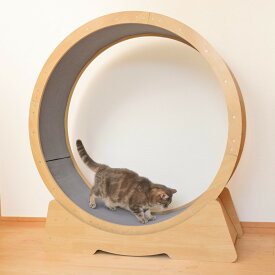 キャットホイール 猫 キャットランナー おもちゃ （ ランニングホイール ルームランナー 回し車 運動 エクササイズ 室内 組立 猫用 ペット用 運動不足 肥満予防 ストレス解消 健康ケア ペット用品 ）