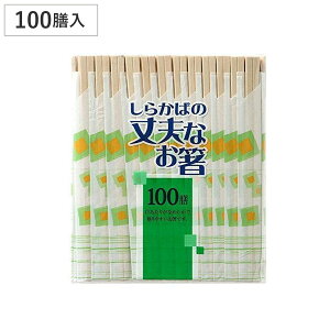 蔢 i炩΁j̏vȂ 100V i 蔢 ΂ ΂ ĝ   ͂ nV BBQ AEghA p[eB[ Lv  j