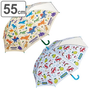 P WvP 55cm i fBmTEX  ܂VX^[Y qp rj[P JP JT   y g₷ v OXt@Co[ Wv 55 Z` j