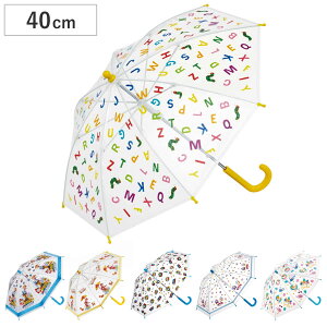 P 40cm qǂprj[P LN^[ i rj[P qǂp 蓮J ̃W[W ͂؂ނ pEpg[ g[}X ̃J[rB xCr[V[N JT COb