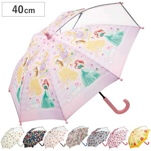 P qǂP 40cm LN^[ i ~bL[ `bvƃf[ fBYj[vZX gCXg[[ J[Y pEEpg[ K`sbN qp t  蓮J P SJo