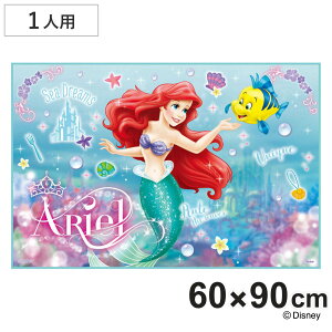 W[V[g 60×90cm AG24 STCY i AG W[}bg sNjbNV[g ct ۈ牀  qp lp sNjbN}bg LbY ~ ^ L j