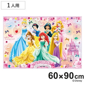 W[V[g 60×90cm vZX24 STCY i vZX W[}bg sNjbNV[g ct ۈ牀  qp lp sNjbN}bg LbY ~ ^ L j