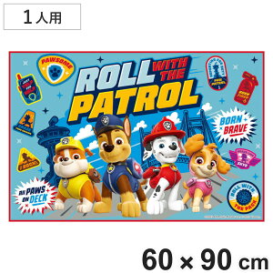 W[V[g 60×90cm pEpg[24 STCY i pEpg[ W[}bg sNjbNV[g ct ۈ牀  qp lp sNjbN}bg LbY ~ ^ L j