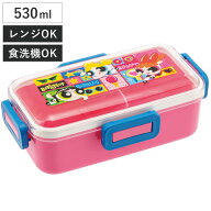 弁当箱 1段 530ml 抗菌ふわっと弁当箱 パワーパフガールズ （ パワパフ ランチボックス 食洗機対応 レン…