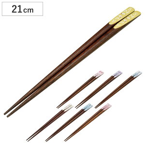  V픢 LN^[ i 21cm ؐ VR ~߉H  ͂ ͂ nV Jg[ 킢 ׂ~߉H l qǂ p ig j