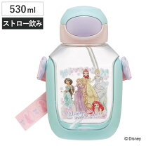 楽天市場】ディズニープリンセス（弁当箱・水筒｜キッチン用品・食器 
