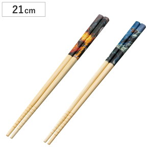  | 21cm SW 1995 2004 i  VR| LN^[ ͂ ͂ nV 킢 qǂp LbY WjA H p L ׂ~ ~ j