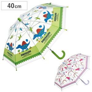 PqP 40cm rj[P fBmTEX gjR[ i  jR[ P P qp  qǂ LbY c JP  ʉ ʊw ۈ牀 ct y 蓮 J OXt@C