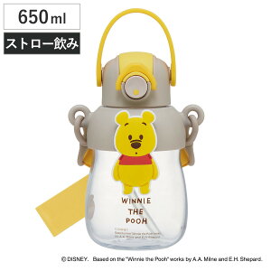  650ml o[}XRbgtXg[{g ܂̃v[ i Xg[t{g Xg[{g NA{g vbV ^b` Xg[^Cv q qp NA V_