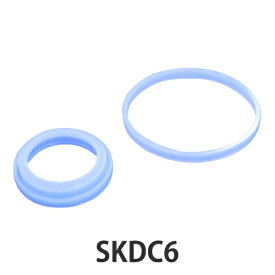 パッキン 水筒 スケーター SKDC6専用 パッキンセット 部品 パーツ （ SKDC6 蓋パッキン フタ ワンタッチ ふた 替え 買い替え 蓋 ダイレクトボトル ステンレスボトル ステンレス製 ）