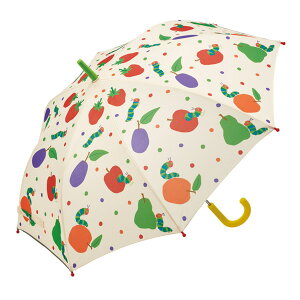P qp 55cm ͂؂ނ i  JT Au J CObY P  J SJo[t ODt ˃e[vt OXt@Co[ ʉ ʊw j