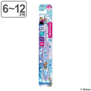 uV AiƐ̏ wp q LN^[ 6`12 i wpuV qpuV 炩 Ai 15.5cm nuV RpNg 炩  iv  