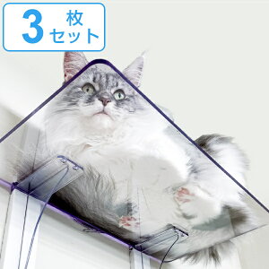 LbgXebv 3Zbg Cat Steps  ChXebv  NA LbgEH[N i  Lbg^[ lR Xebv ˂ L ǖʎt ^  V ȃXy[X DIY diy