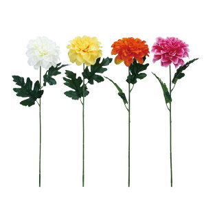  VO_A i _A  t[ tFCNt[ 1{ A[gt[ ͂Ȃ CeA  t[AWg A[eBtBVt[ j