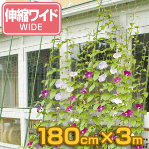 ΂̃J[e LkCh 180cm×1.6`3m i O[J[e 悯   O[J[e ΍ ObY Ռ ډB GR ߓd ȃGl   VF[h j