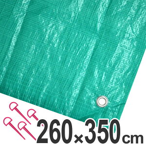 W[V[g W{V[g syV[g 6 2.6×3.5m O[ i W[}bg sNjbNV[g Xgbp[t sNjbN}bg ~ 傫 L j