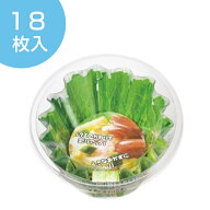 お弁当カップ おかずカップ 日本製 レタスそっくりケース 小玉 18枚入り （ 電子レンジ対応 おべんとケー…