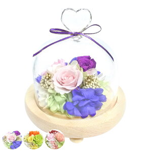 vU[uht[ KXh[AW n[g KX h[ i  v[g t[Mtg AWg KXh[ 12.8cm RpNg  ̓ CeA ؂₩  