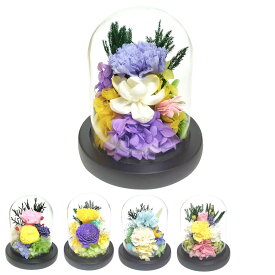 供え花 仏花 ガラスドームアレンジメント プリザーブドフラワー 桃音 （ 造花 ブリザードフラワー 枯れない 仏壇 ドーム お供え 花 フェイクフラワー 供花 御供え 枯れない花 水換え不要 夏 人工 お盆 お彼岸 お墓 法要 法事 仏具 ）