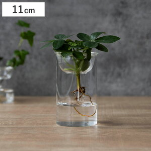 ԕr MINI BULB VASE ͔|KXx[X 11cm k͔| i Ԋ KX  t[x[X ֑}  NA O[ ͔| n[u CeA IuWF KX  t[OX 