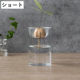 花瓶 BULB VASE 水栽培ガラスベース ショート 水耕栽培 （ 花器 ガラス おしゃれ フラワーベース 一輪挿し 花 クリア グリーン 栽培 ハーブ インテリア オブジェ ガラス製 飾る フラワーグラス 水栽培 ）
