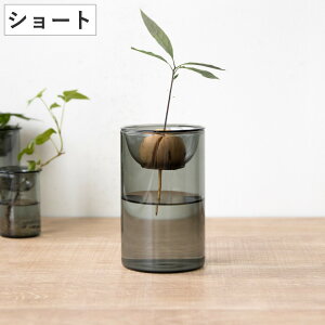 ԕr BULB VASE ͔|KXx[X V[g k͔| i Ԋ KX  t[x[X ֑}  O[ O[ ͔| n[u CeA IuWF KX  t[OX 