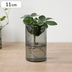 ԕr MINI BULB VASE ͔|KXx[X 11cm k͔| i Ԋ KX  t[x[X ֑}  O[ O[ ͔| n[u CeA IuWF KX  t[OX 