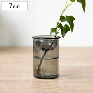 ԕr MINI BULB VASE ͔|KXx[X 7cm k͔| i Ԋ KX  t[x[X ֑}  O[ O[ ͔| n[u CeA IuWF KX  t[OX 