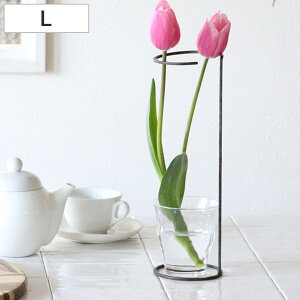 x WZtACA t[T|[gC[X^h LTCY i t[X^h Ԃт Ԋ x[X ACA ֑}   T|[g C[X^h  A ԃX^h t