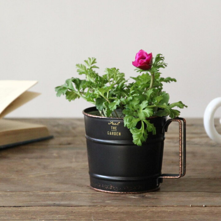 楽天市場 プランター Noir ブリキマグポット Sサイズ 植木鉢 ポット プラントポット 鉢 ブリキ アイアン マグ型 取っ手 スタンド 置く 植物 観葉植物 花 園芸 鉢カバー 直植え 内ポット ガーデニング エクステリア ブラック リビングート 楽天市場店