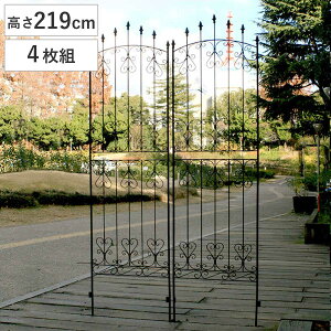 tFX ACA [YtFX 219cm 4g i K[ftFX CeA K[fjOG AeB[N  K[fjO X`[ fBXvC IuWF u  K[f