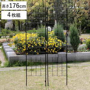 tFX ACAtFX X^Cv 176cm OtV[Y 4g i K[ftFX CeA K[fjOG AeB[N  K[fjO X`[ fBXvC I