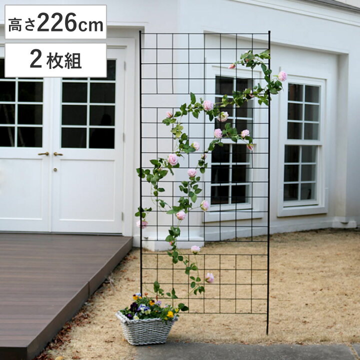 楽天市場】フェンス アイアンフェンス 高さ226cm グラフシリーズ 2枚組 