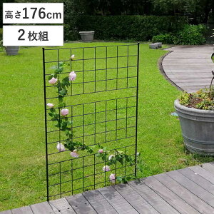 フェンス アイアンフェンス 高さ176cm グラフシリーズ 2枚組 ( ガーデンフェンス インテリア ガーデニング雑貨 アンティーク おしゃれ ガーデニング スチール ディスプレイ オブジェ 置物 庭