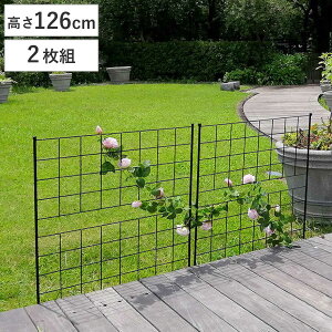 フェンス アイアンフェンス 高さ126cm グラフシリーズ 2枚組 ( ガーデンフェンス インテリア ガーデニング雑貨 アンティーク おしゃれ ガーデニング スチール ディスプレイ オブジェ 置物 庭
