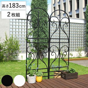 tFX ACAgX tBjA 183cm 2g i ACAtFX gX K[ftFX CeA K[fjOG AeB[N  K[fjO X`[ fBX